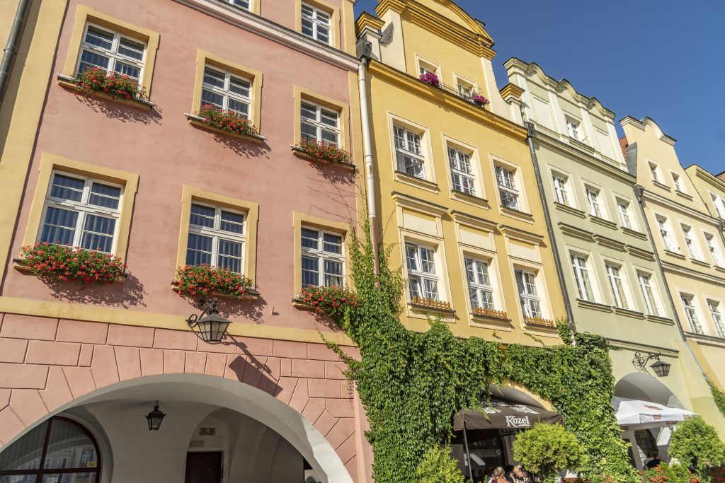 Widok na piękne odrestaurowane budynki, w różnych kolorach. Na parapecie kwiaty w doniczkach.
