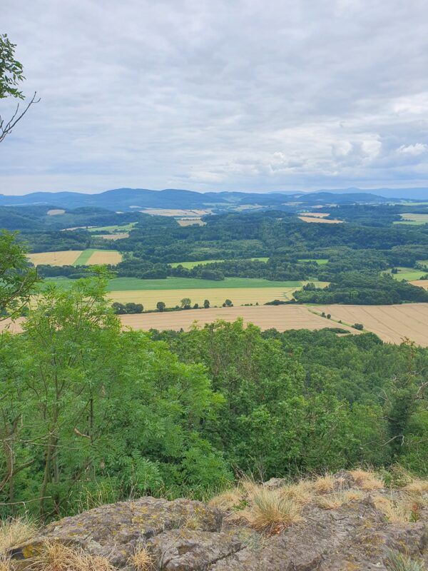 Widok z góry na pole i lasy.