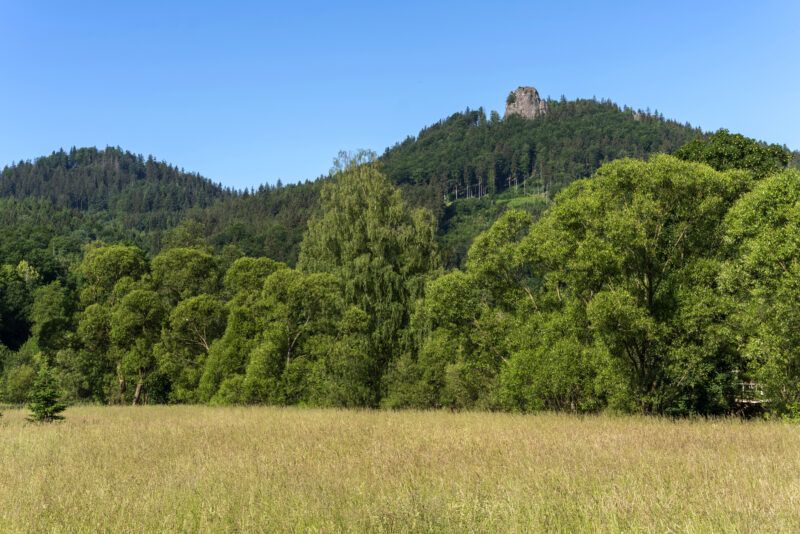 Widok z łąki na szczyt góry z dużą odsłoniętą skałą na szczycie