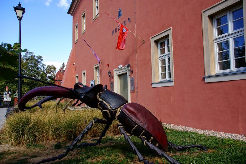 Zdjęcie przedstawia przerośnięty model owada znajdujący się na trawniku przed zabytkowym budynkiem muzeum