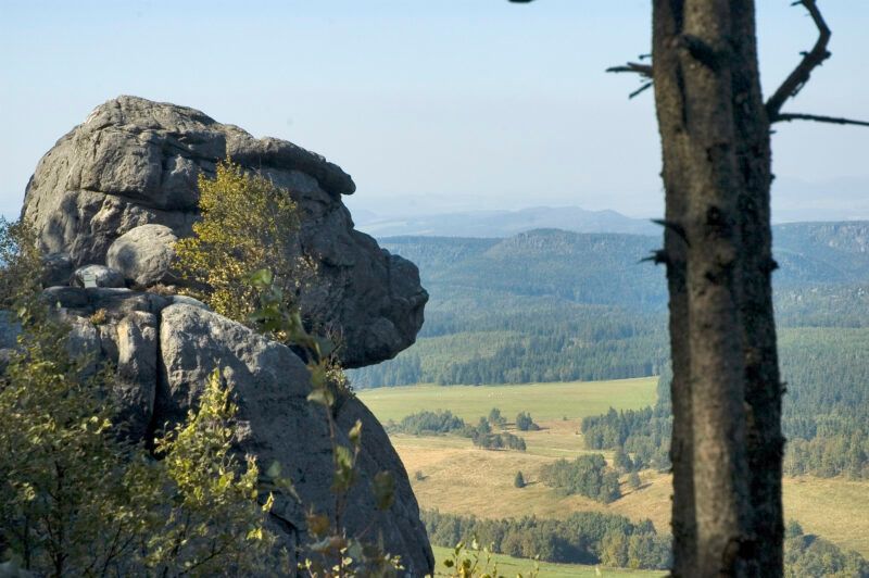 Zdjęcie skały przypominającej głowę małpy
