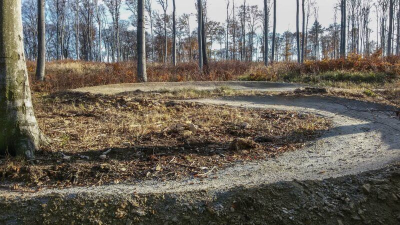 Widok na krętą trasę rowerową między drzewami przy jesiennej aurze