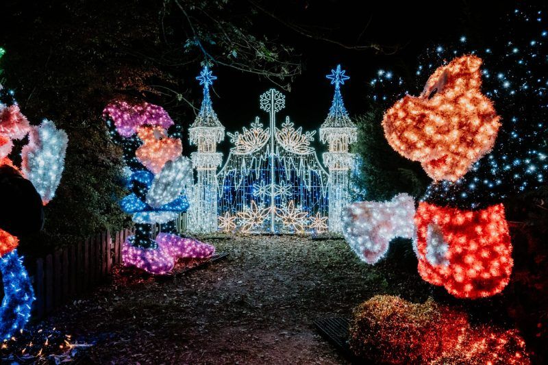 Zdjęcie przedstawia bramę Zamku Topacz rozświetloną kolorowymi dekoracjami świetlnymi podczas zimowego wydarzenia Lumina Park.