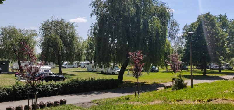 Widok na pole campingowe, wśród drzew i zieleni.
