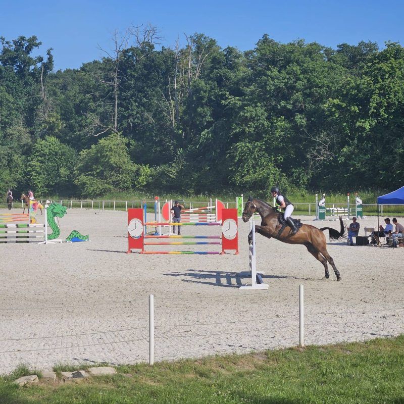 zawody w jeździectwie konnym. kobieta została ukazana na zdjęciu w momencie przeskakiwana nad jednym z płotków