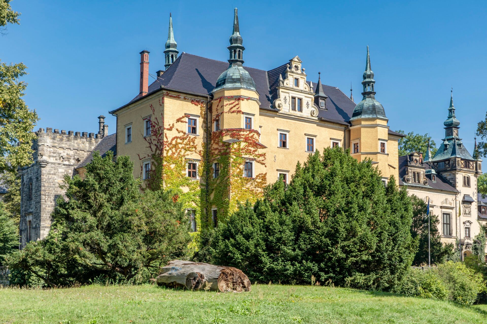 Średniowieczny Zamek w kolorach odcienia żółtego w otoczeniu lasu