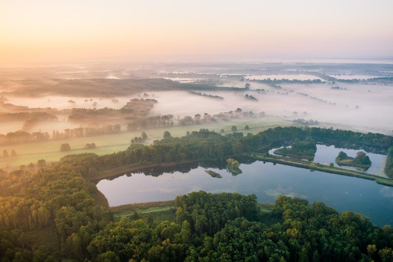 Widok z lotu ptaka na kompleks stawów wśród drzew, zamglone.