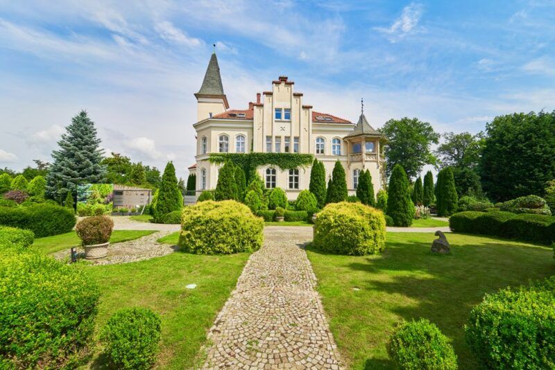 Ścieżka w stronę pałacu, wśród krzewów i drzew.