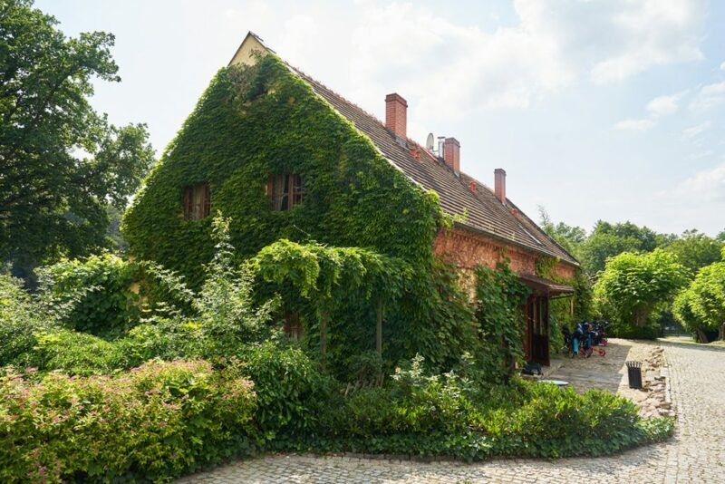 Domek obrośnięty bluszczem.