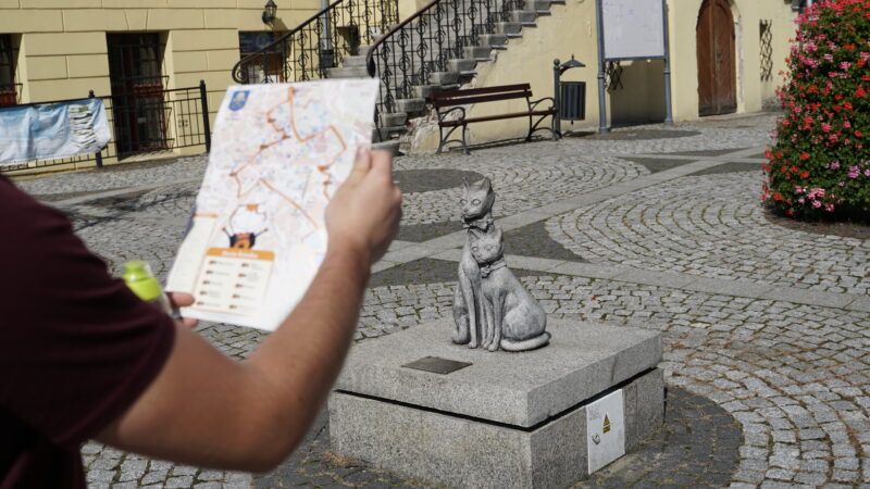 Na środku zdjęcia widać figurę kota, który siedzi na betonowym murku. Na pierwszym planie jest również ramię mężczyzny, trzymającego w dłoni mapę z zaznaczonym szlakiem. W oddali znajdują się schody oraz kwietnik.