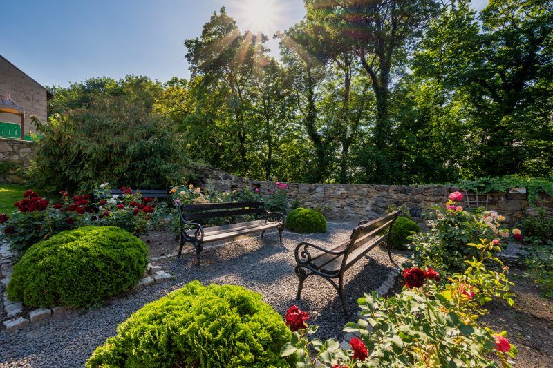 Zdjęcie oświetlonego promieniami słonecznymi ogrodu Zamku Czocha