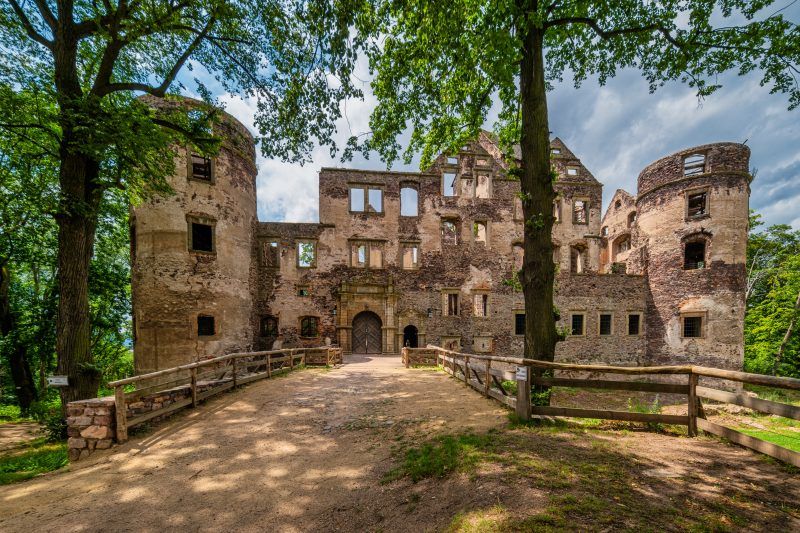 Widok ogólny na fasadę ruin zamku Świny