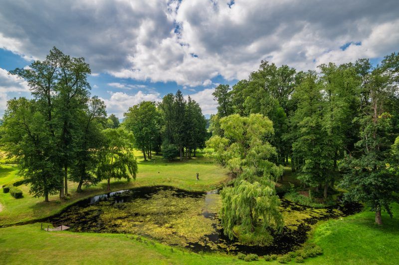 Zdjęcie zadbanego parku za Pałącem Wojanów