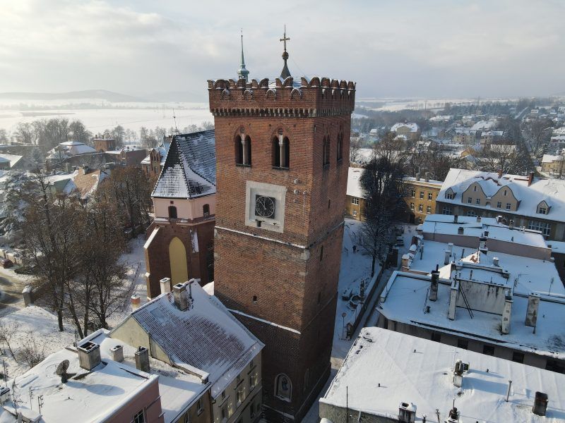 Krzywa Wieża wznosząca się ponad dachy otaczających ją budynków z czerwonej cegły