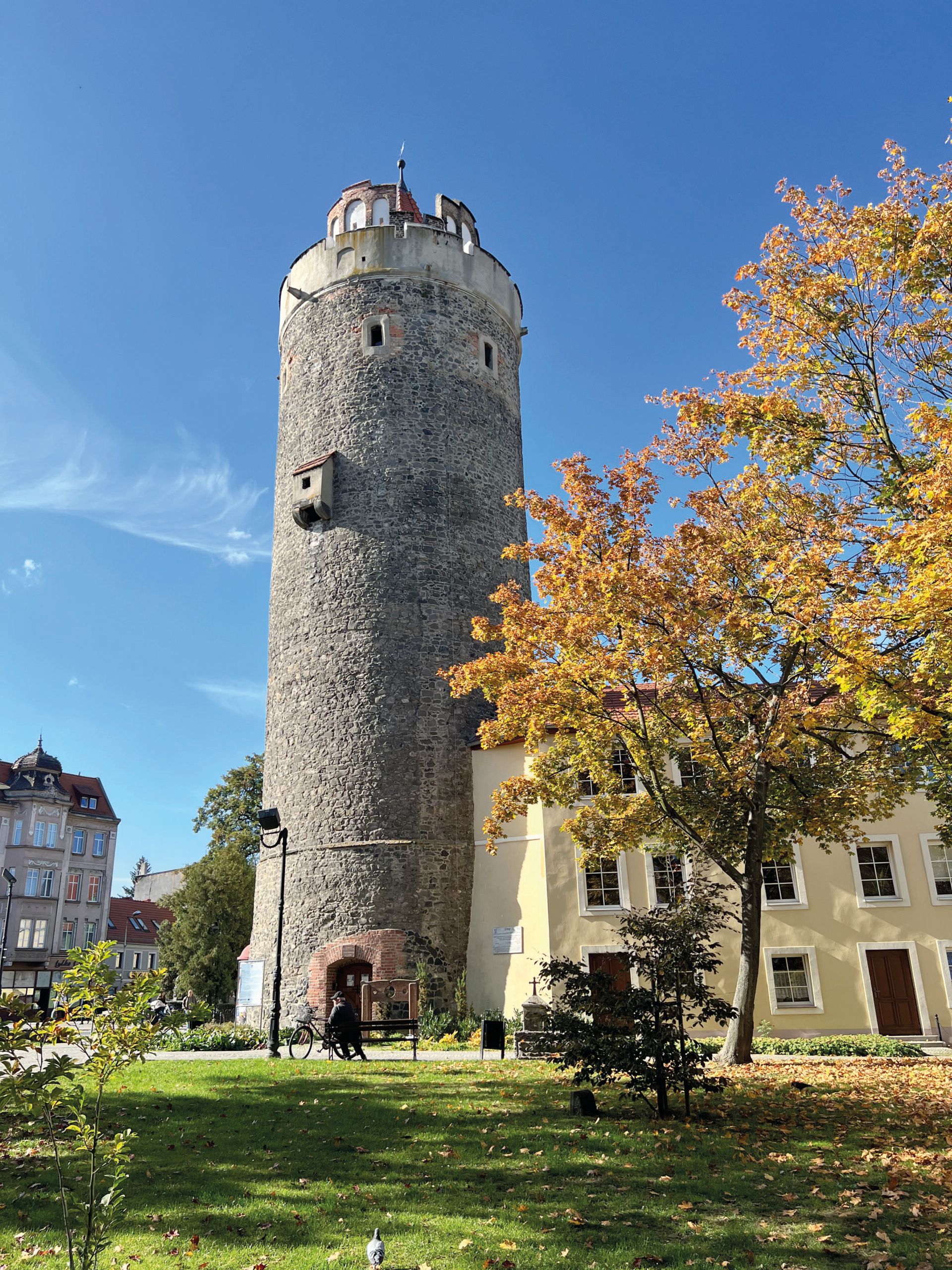 Widok na skąpaną w promieniach słońca kamienną, średniowieczną, okrągłą w swym planie wieżę centrum miasta Lubań