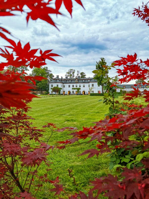 Fasada pałacu Pakoszów ukryta pośród czerwonych liści klonu. 