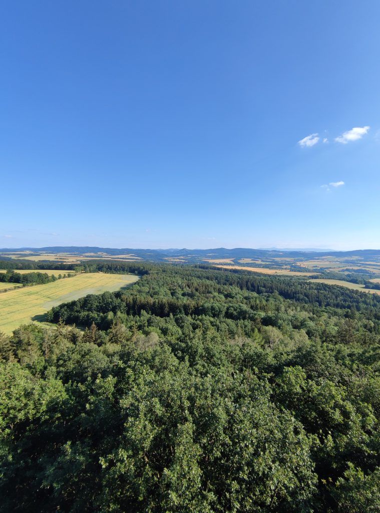 Widok na łąki i las.