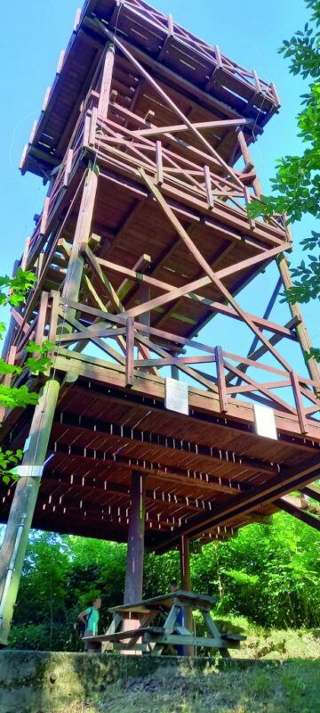 Letni widok z poziomu gruntu na drewnianą, niezadaszoną wieżę widokową w otoczeniu przyrody