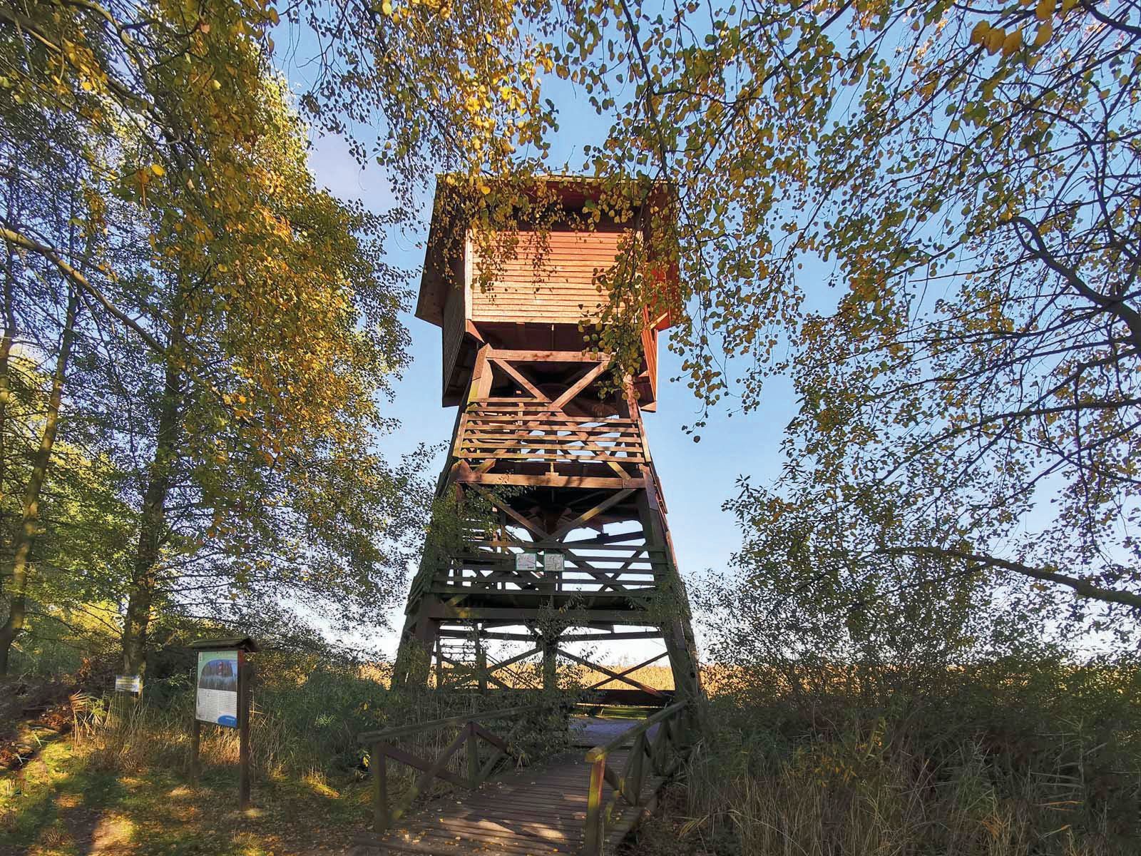 Widok na drewnianą, zadaszoną wieżę widokową w otoczeniu stawów Doliny Baryczy