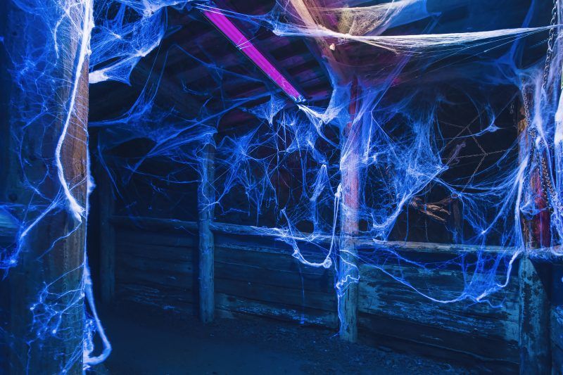 Pajęczyny podświetlone na niebiesko na podziemnej trasie turystycznej w kopalni w Złotym Stoku