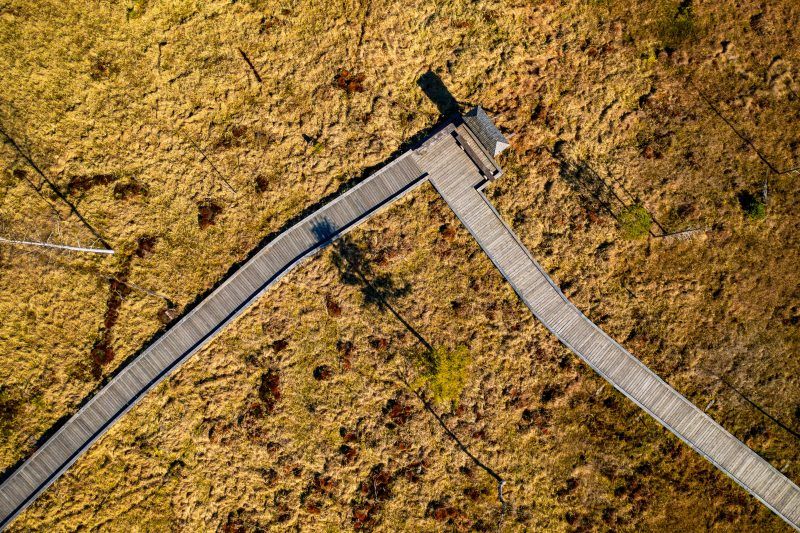 Drewniana kładka wijąca się przez suche, trawiaste tereny widoczna jest z perspektywy lotu ptaka.