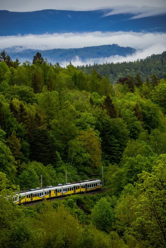 Pociąg jadący wśród przyrody.