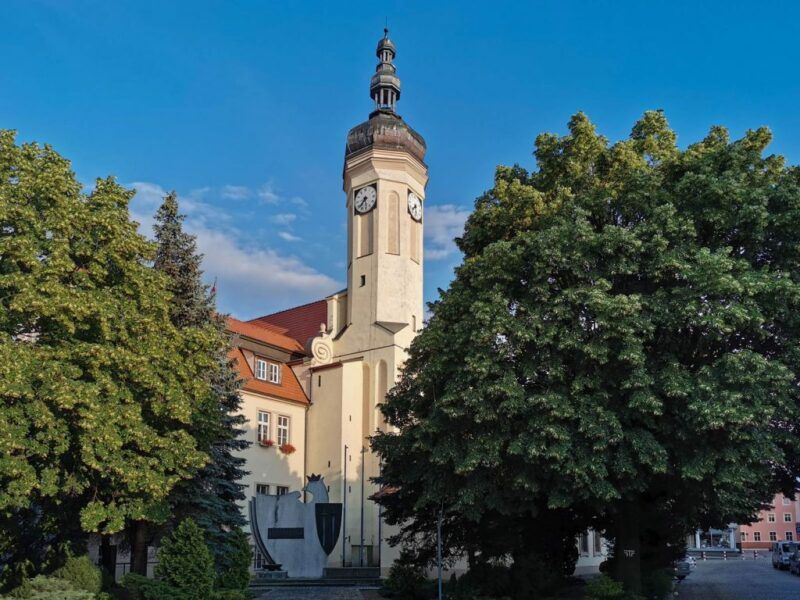 Wołowski ratusz zasłonięty drzewami, w tle błękitne niebo.