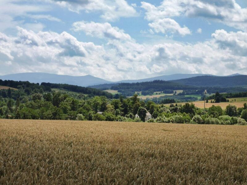 Krajobraz gór, przyrody, na pierwszym planie pole.