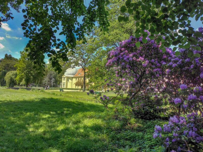 Park z bujną zielenią, przez który przebija się widok na pałac