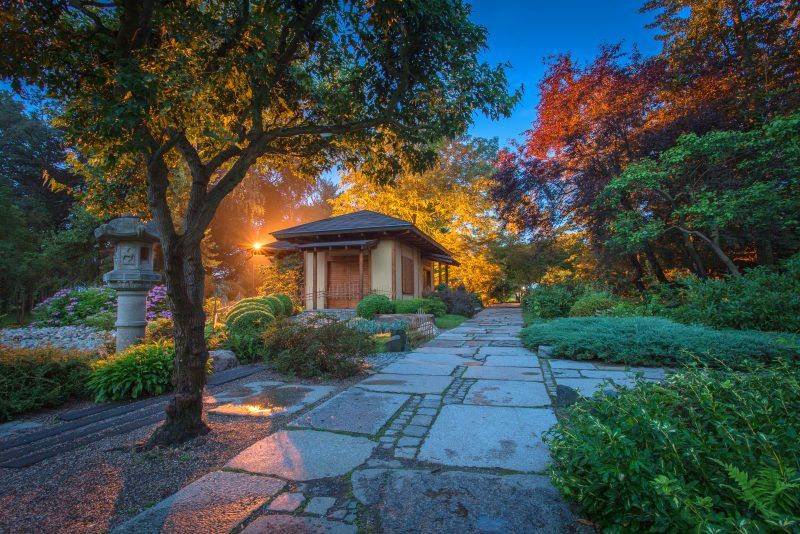 Kamienna ścieżka w ogrodzie japońskim przy wieczornych sztucznych światłach / lampach