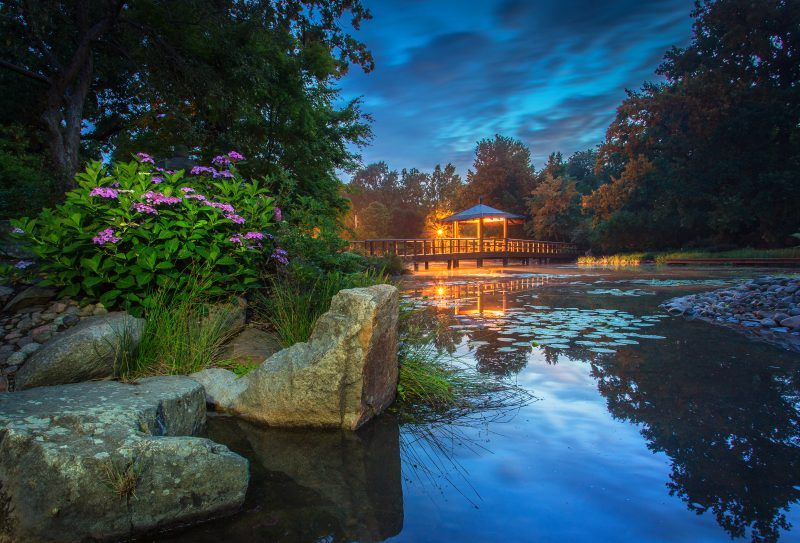Staw na terenie ogrodu japońskiego we Wrocławiu