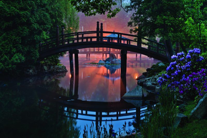 łukowy drewniany most na terenie ogrodu japońskiego we Wrocławiu