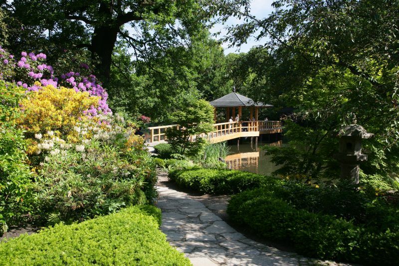 Kamienna ścieżka prowadząca do drewnianego mostku 