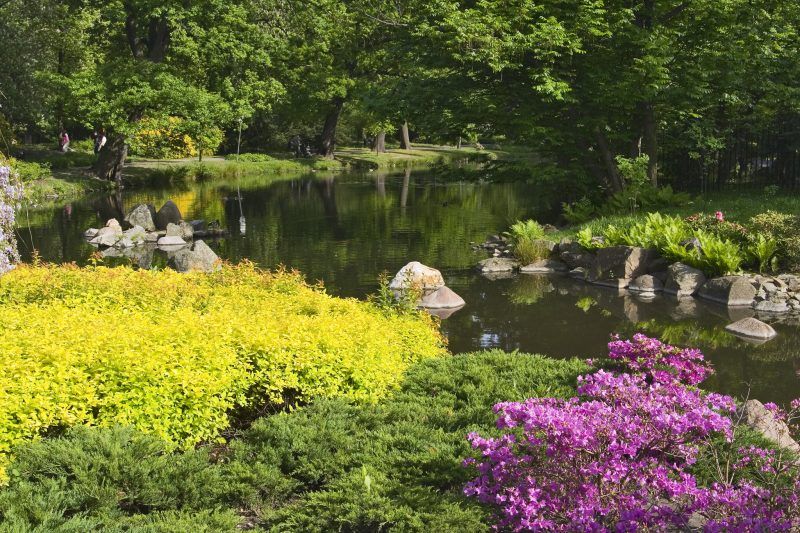 Mały staw pośród zieleni i kolorowych kwiatów