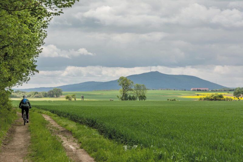 Widok gruntowej ścieżki