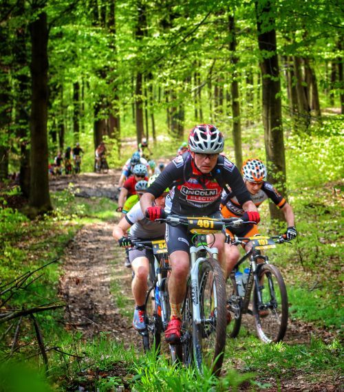 Rowerzyści w kaskach i rowerach wyczynowych jadący przez leśną ścieżkę