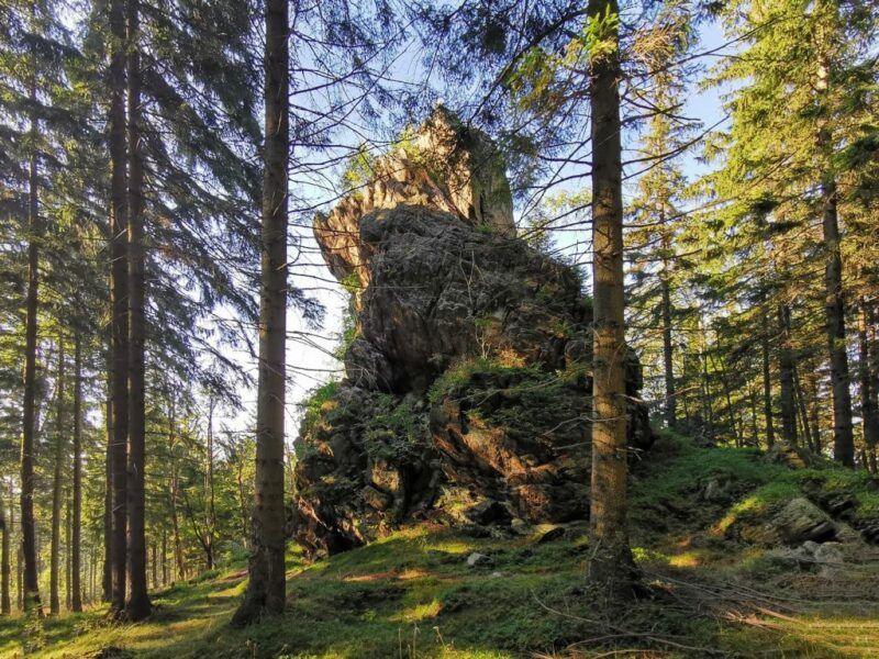 Rzeźba naturalna ze skał w otoczeniu drzew iglastych