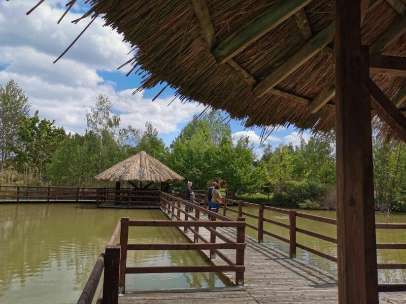 Pomosty na zbiorniku wodnym w Arboretum w jasny dzień otoczone zielenią
