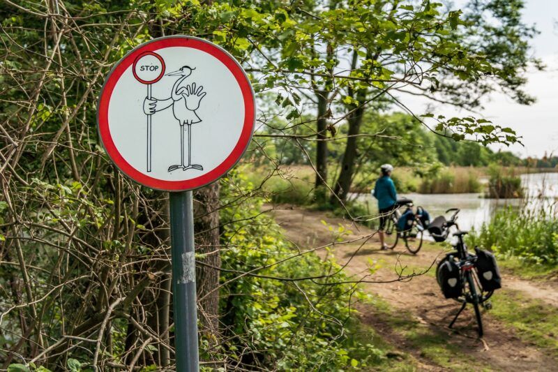Rowerzysta patrzący w stronę zbiornika wodnego w otoczeniu zieleni