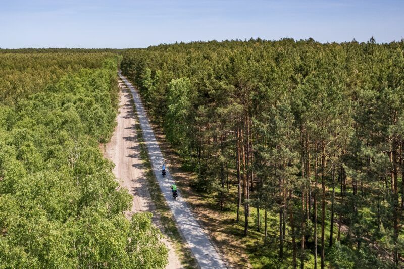 Droga gruntowa widoczna z lotu ptaka w lesie