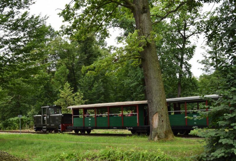Stary parowóz z podłączonymi wagonami na torach w otoczeniu zieleni