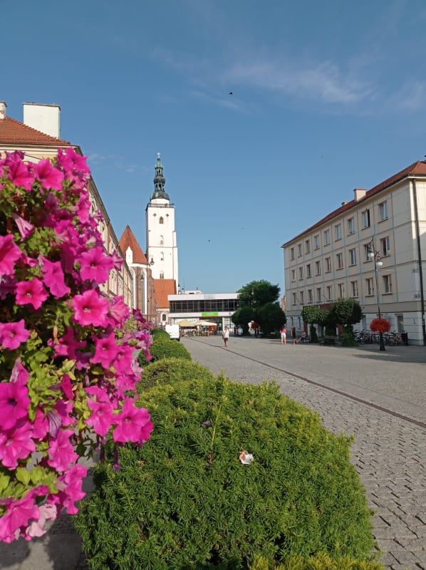 Widok na wieżę kościoła zamkowego w oddali.