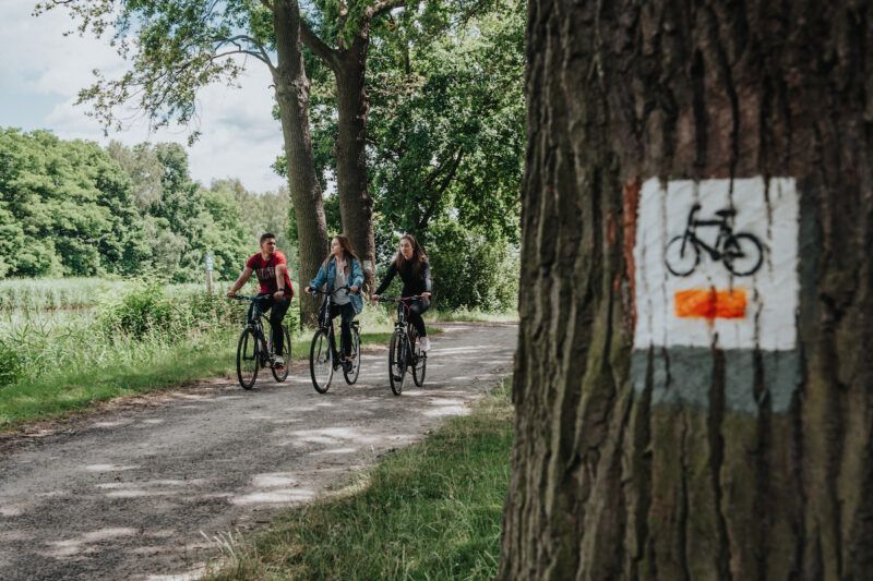 Szlak rowerowy przebiegający przez teren zielony, nieopodal stawu. Widocznych 3 rowerzystów na drodze leśnej oraz oznakowanie szlaku wymalowane na jednym z drzew.