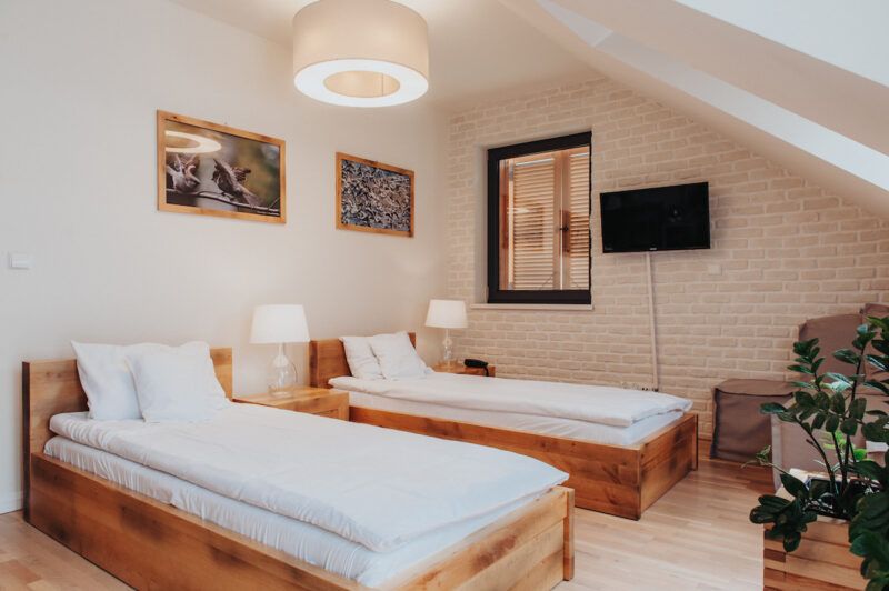 Gustowny pokój hotelowy z dwoma łóżkami pojedynczymi oraz telewizorem na ścianie. W dolnym rogu dobrze uwidoczniona donica z kwiatem. Na ścianach fotografie z Doliny Baryczy.