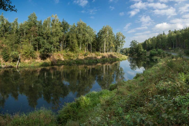 Widok na zakole rzeki porośnięte roślinnością