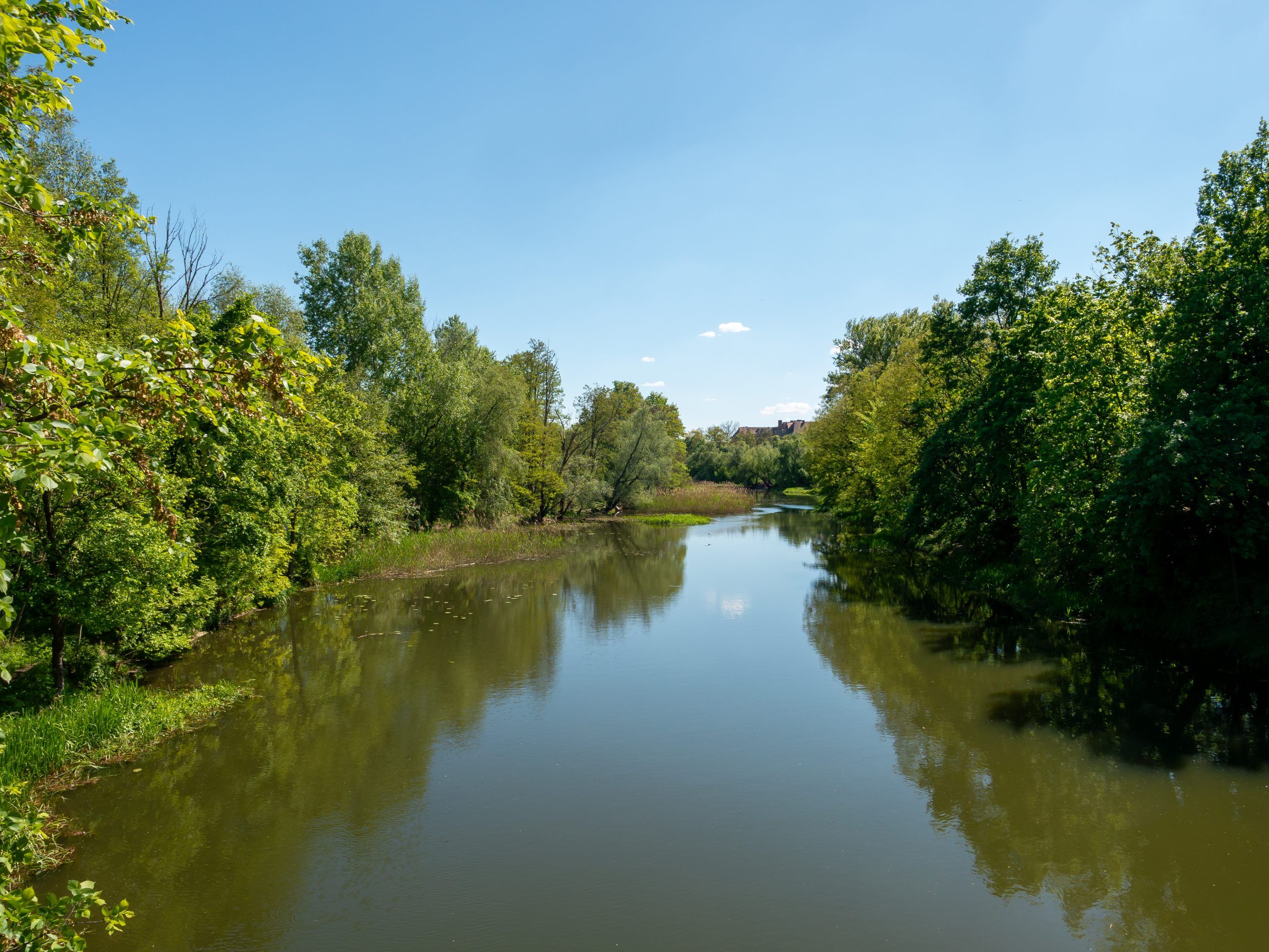 zdjęcie zrobione na rzece, dosyć szerokiej, otoczonej drzewami