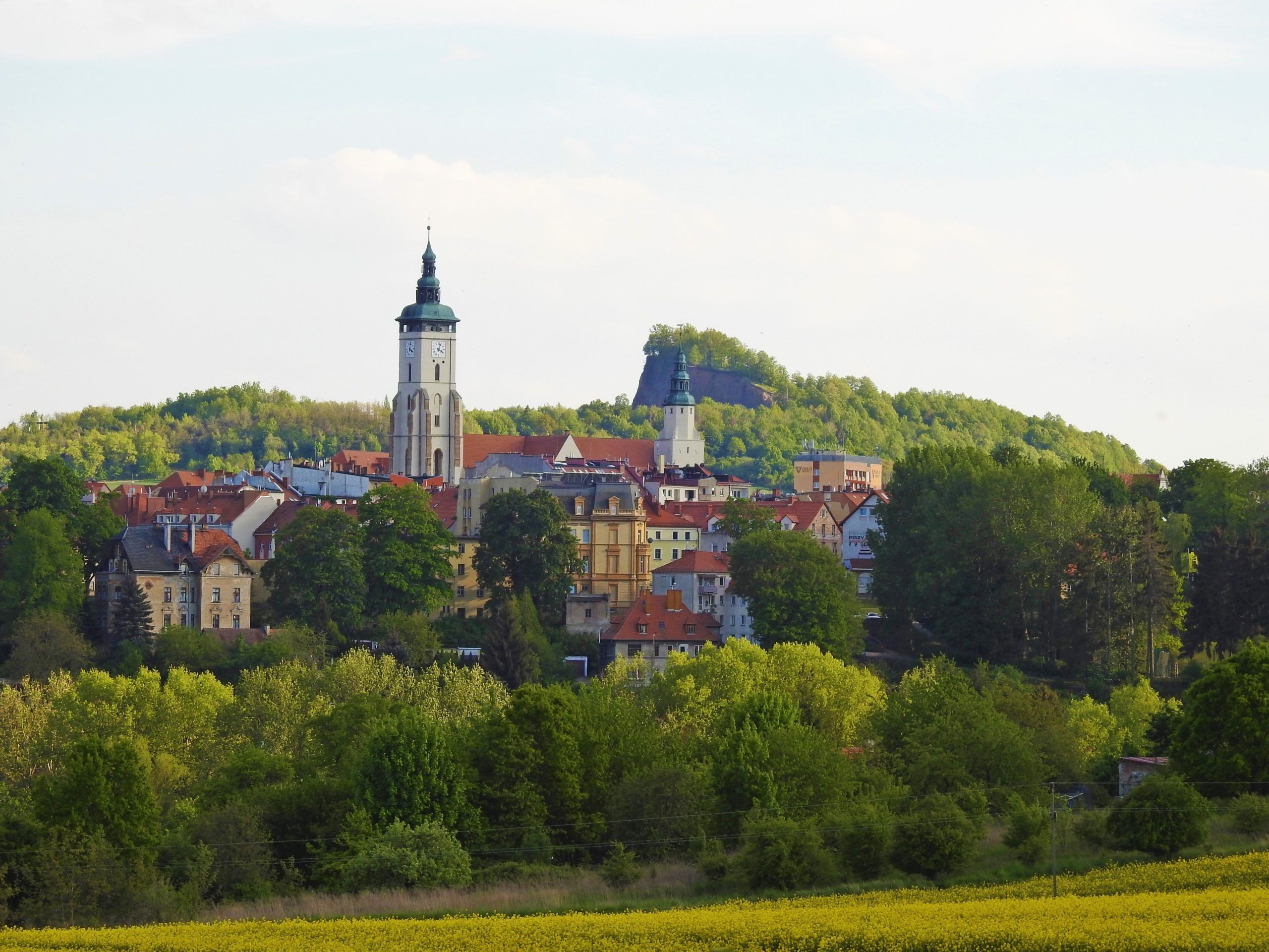 Widok z oddali na miasto i Wilczą Górę.