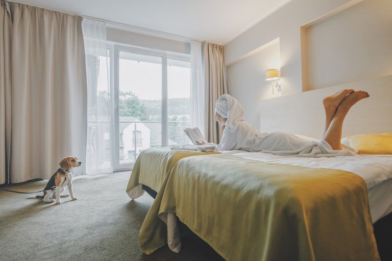 Świetlisty, jasny pokój hotelowy, z podwójnym łóżkiem, na którym na brzuchu leży czytająca książkę kobieta w szlafroku oraz ręczniku na głowie. Przy łożu siedzi pies.