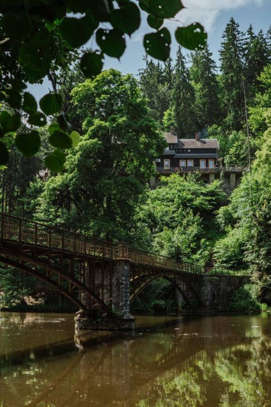 zdjęcie pokazujące schronisko i znajdujący się przed nim most. zdjęcie jest w małej jego części specjalnie przysłonione gałęzią