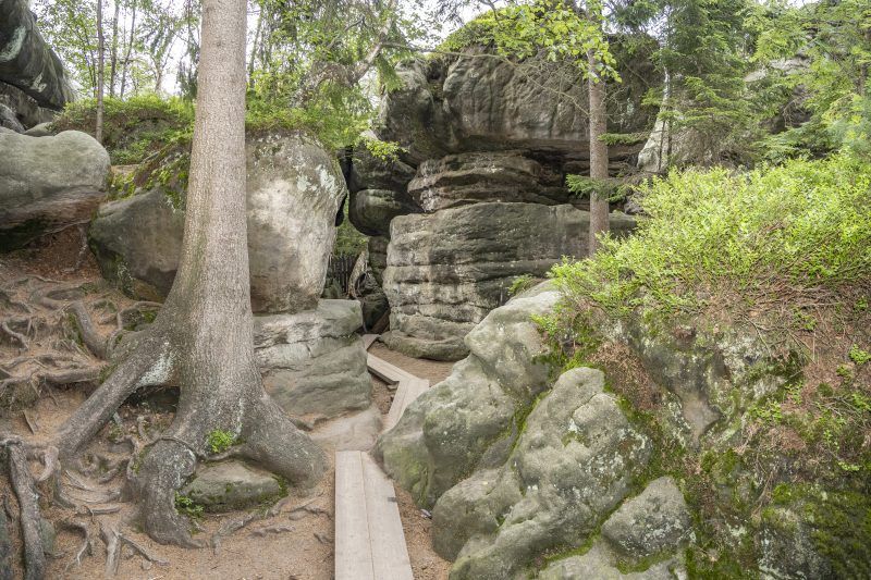 Formacje skalne na szlaku Błędnych Skał.